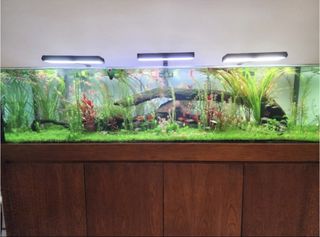 (Category: ) located in . Submitted by chirnooska (Listing ID 1447592321, Image 1). Description: .
