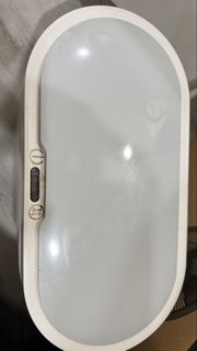由 vtflora (刊登 ID 1447485014，圖片 1) 提交，位於 的 (類別：)，說明：。