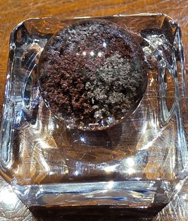 (Category: ) located in . Submitted by universalcrytsal1305 (Listing ID 1447606859, Image 1). Description: .