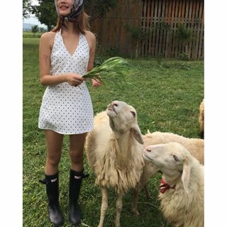 (Category: ) located in . Submitted by rosetiquette (Listing ID 1447626307, Image 1). Description: .
