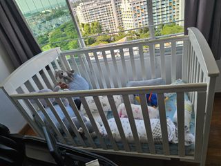 (Category: ) located in . Submitted by dy1606 (Listing ID 1447479505, Image 1). Description: .