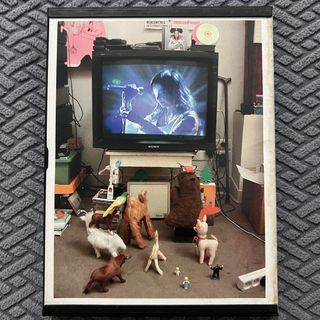 (Category: ) located in . Submitted by thelittlejewelcase (Listing ID 1447672386, Image 1). Description: .