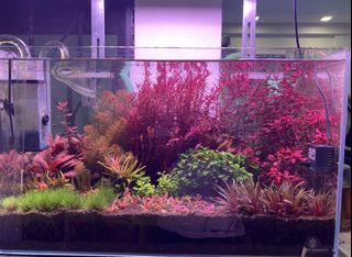 (Category: ) located in . Submitted by me5567 (Listing ID 1447501373, Image 1). Description: .
