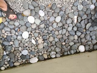(Category: ) located in . Submitted by mdmcpl15 (Listing ID 1447503146, Image 1). Description: .