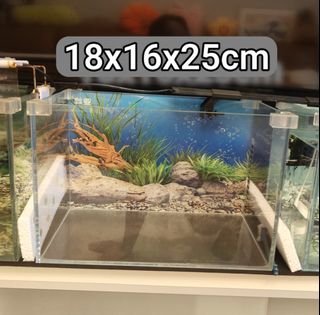 (Category: ) located in . Submitted by jubaolajiy15398 (Listing ID 1438063517, Image 1). Description: .