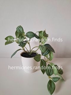 (Category: ) located in . Submitted by hermiones.random.finds (Listing ID 1447533459, Image 1). Description: .