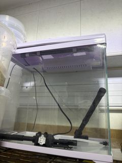 (Category: ) located in . Submitted by chana_ (Listing ID 1447480846, Image 1). Description: .