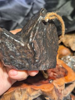 (Category: ) located in . Submitted by earthandtimber (Listing ID 1447654914, Image 1). Description: .