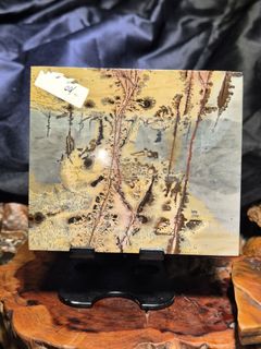 (Category: ) located in . Submitted by earthandtimber (Listing ID 1447656097, Image 1). Description: .