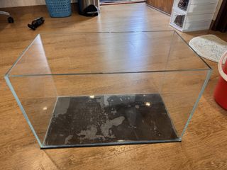 (Category: ) located in . Submitted by wowa_aquatic (Listing ID 1447700449, Image 1). Description: .