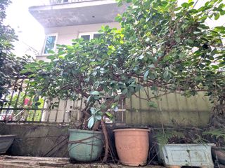 由 fufulee (刊登 ID 1447714240，圖片 1) 提交，位於 的 (類別：)，說明：。