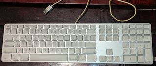 (Category: ) located in . Submitted by ptpt_fastcloud_ee8e8e (Listing ID 1447878010, Image 1). Description: .