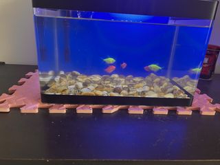 (Category: ) located in . Submitted by gunarsekar94140 (Listing ID 1447831368, Image 1). Description: .