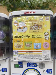 （分類：）位於 。 由 netnetbu 提交（商品編號 1447696545，圖片 1）。簡介： 。