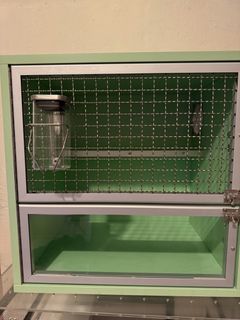 (Category: ) located in . Submitted by whitedays77 (Listing ID 1447791792, Image 1). Description: .