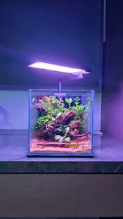 (Category: ) located in . Submitted by adri_an (Listing ID 1447795084, Image 1). Description: .