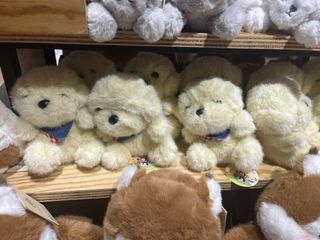 (Category: ) located in . Submitted by charlotte23. (Listing ID 1447727894, Image 1). Description: .