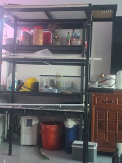 (Category: ) located in . Submitted by lewislin_wind (Listing ID 1447689997, Image 1). Description: .