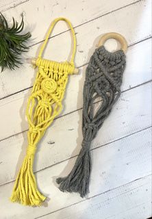 (Category: ) located in . Submitted by plantsnknots (Listing ID 1447750490, Image 1). Description: .