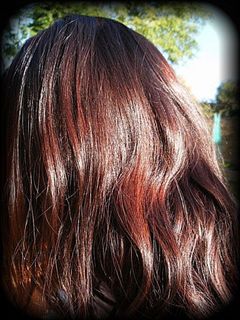 (Category: ) located in . Submitted by yikansha (Listing ID 1447873023, Image 1). Description: .
