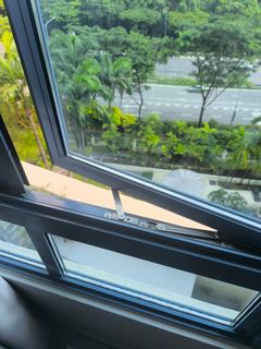 (Category: ) located in . Submitted by endosales4 (Listing ID 1447818868, Image 1). Description: .
