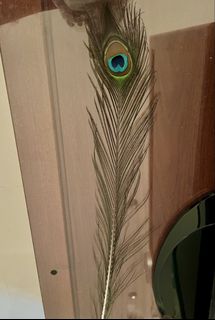 (Category: ) located in . Submitted by jessthia (Listing ID 1447785911, Image 1). Description: .