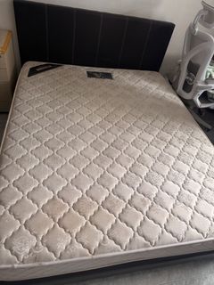 (Category: ) located in . Submitted by catmammy (Listing ID 1447730508, Image 1). Description: .
