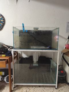(Category: ) located in . Submitted by mussss6 (Listing ID 1447977648, Image 1). Description: .