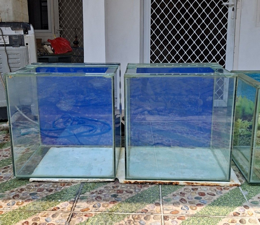 Aquarium besar 3 unit + rak (Kategori: Aksesoris Hewan) berada di Jakarta Pusat. Dikirim oleh dannytjoa (ID iklan 1447927397, Gambar 2). Deskripsi: 1 unit kaca full 10ml P :110 L : 45 T : 51 2 unit kaca full 8ml P : 55 T : 55 L : 45.