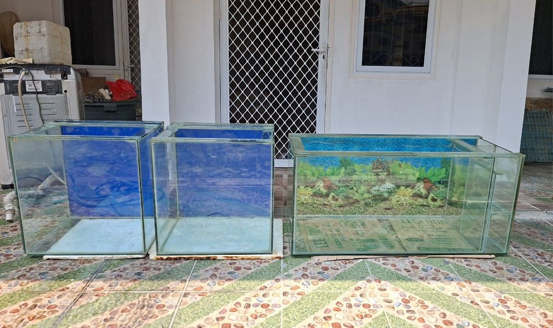 Aquarium besar 3 unit + rak (Kategori: Aksesoris Hewan) berada di Jakarta Pusat. Dikirim oleh dannytjoa (ID iklan 1447927397, Gambar 3). Deskripsi: 1 unit kaca full 10ml P :110 L : 45 T : 51 2 unit kaca full 8ml P : 55 T : 55 L : 45.