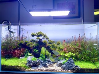 (Category: ) located in . Submitted by shootheart (Listing ID 1448000175, Image 1). Description: .