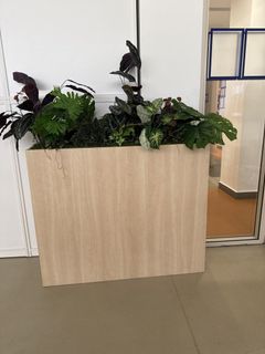 (Category: ) located in . Submitted by vitha79 (Listing ID 1447892642, Image 1). Description: .