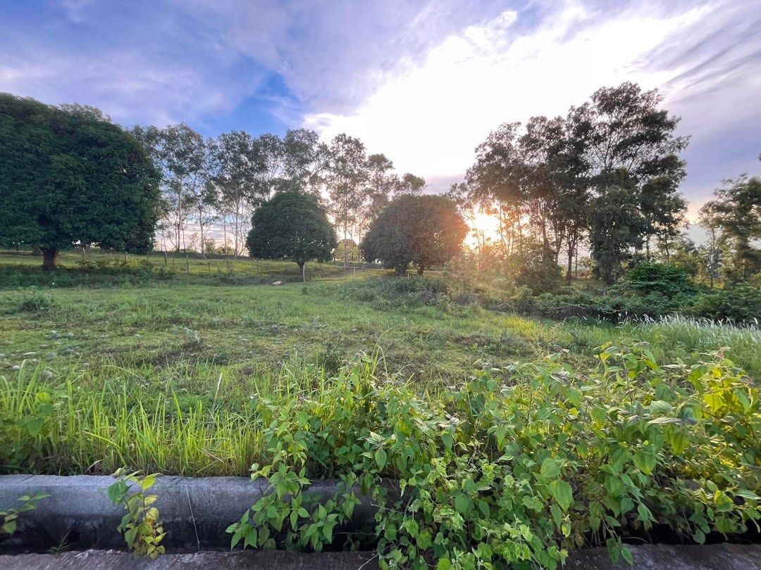 Lot for sale Bataan (Category: Lot) located in Quezon City. Submitted by philpremiumseller (Listing ID 1447962826, Image 2). Description: Negotiable Lot for sale 750 sqm Bataan area View: Mt. Samat. Ready for transfer.