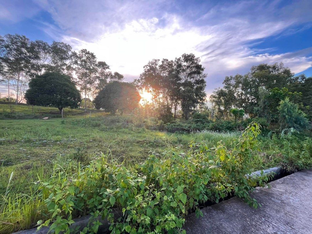 Lot for sale Bataan (Category: Lot) located in Quezon City. Submitted by philpremiumseller (Listing ID 1447962826, Image 3). Description: Negotiable Lot for sale 750 sqm Bataan area View: Mt. Samat. Ready for transfer.