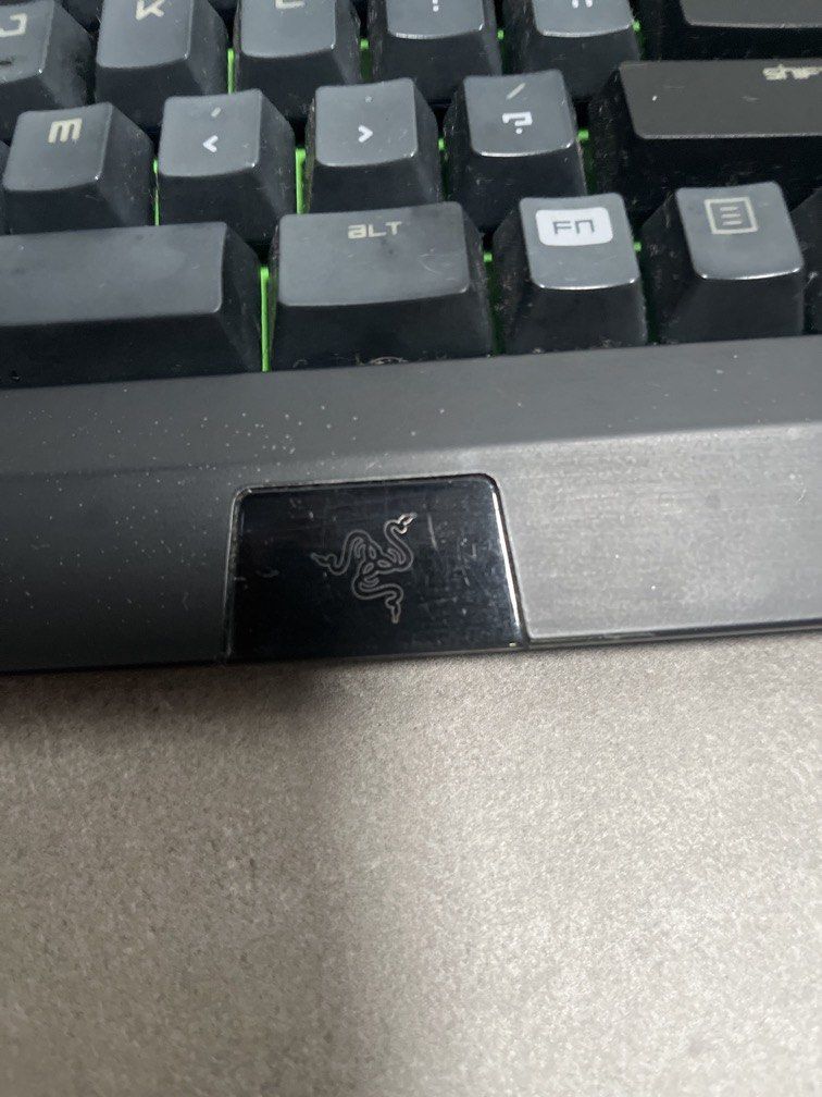 Razer502319595913881601