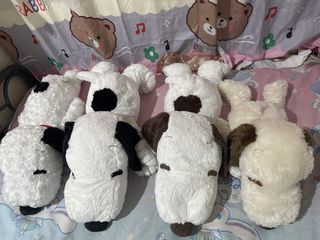 (Category: ) located in . Submitted by otaku_shop_by_nanami.chan (Listing ID 1447936584, Image 1). Description: .