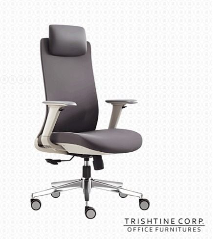 TEX-201 | High Back Mesh Executive Chair (Category: Office Furniture & Fixtures) located in Caloocan City. Submitted by jimtapitan_trishtinecorp. (Listing ID 1447935613, Image 1). Description: - Ergonomic office chair in dark grey - High back with headrest - Adjustable armrests - Chrome finish base with 5 wheels for mobility - Ideal for any office setup - Provides comfort and support for long working hours DISCLAIMER: PRICE IS FOR POSTING PURPOSE