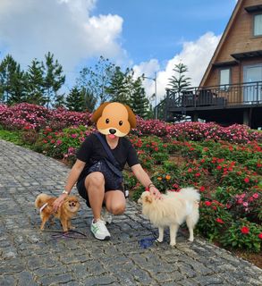 (Category: ) located in . Submitted by chanti (Listing ID 1437790540, Image 1). Description: .