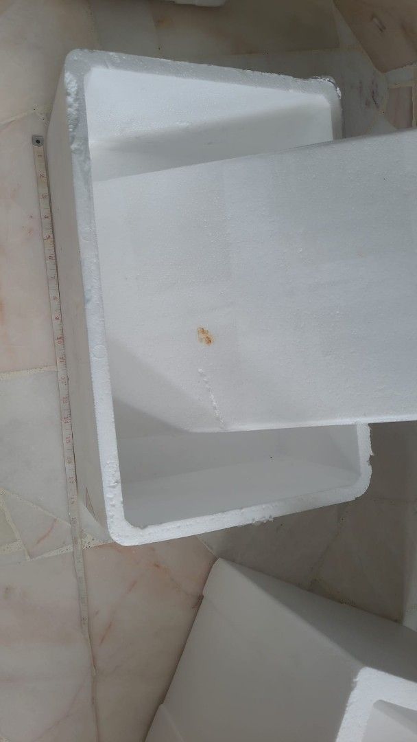 White Styrofoam Boxes with Lids501972811321200642
