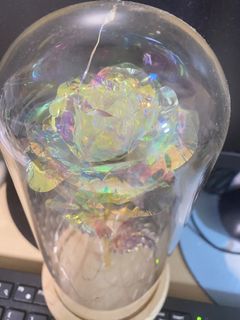 (Category: ) located in . Submitted by kasohei (Listing ID 1448187655, Image 1). Description: .