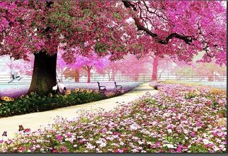 (Category: ) located in . Submitted by maywallpaper (Listing ID 1448140584, Image 1). Description: .