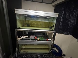 (Category: ) located in . Submitted by mdnba (Listing ID 1448256722, Image 1). Description: .