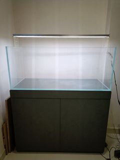 (Category: ) located in . Submitted by kk-aquatics (Listing ID 1443777953, Image 1). Description: .