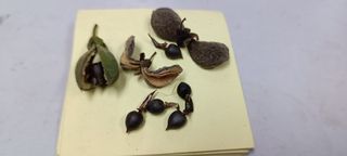 （分類：）位於 。 由 kwoklee 提交（商品編號 1448079346，圖片 1）。簡介： 。