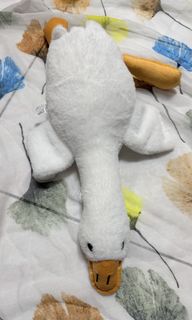 由 cc1439 (刊登 ID 1448247536，圖片 1) 提交，位於 的 (類別：)，說明：。