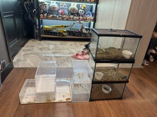 （分類：）位於 。 由 gtrgtr123 提交（商品編號 1448250345，圖片 1）。簡介： 。