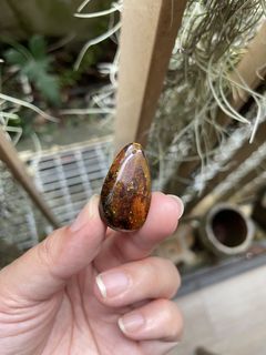(Category: ) located in . Submitted by crystal_gem_world (Listing ID 1448273911, Image 1). Description: .