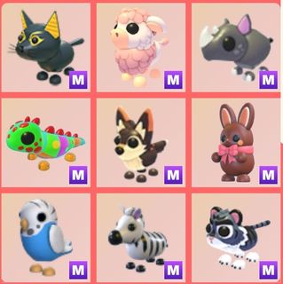 (Category: ) located in . Submitted by adoptmeprincess (Listing ID 1448178938, Image 1). Description: .