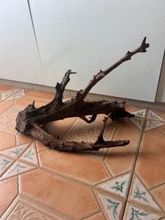 (Category: ) located in . Submitted by p0seidon (Listing ID 1448130390, Image 1). Description: .
