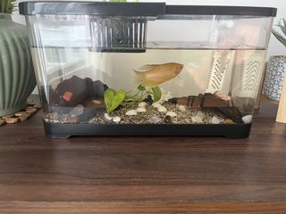 (Category: ) located in . Submitted by faraway911 (Listing ID 1448141243, Image 1). Description: .